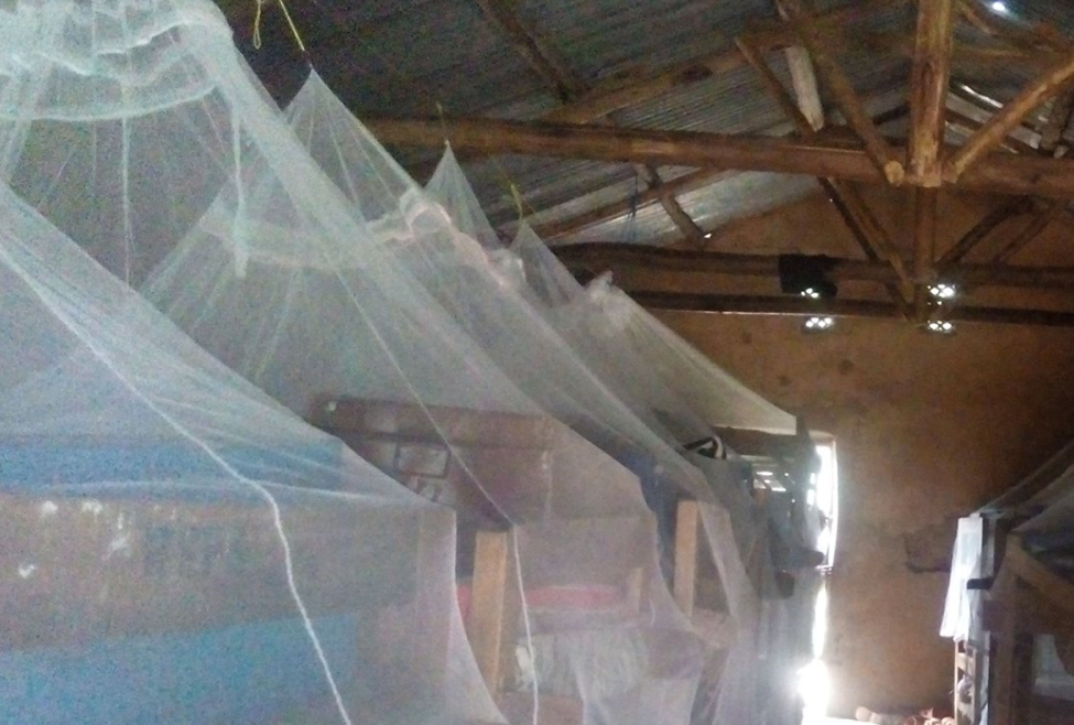 New Mosquito Nets Delivered!